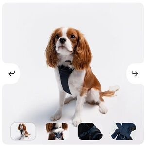 NWT Diggs Classic Harness in Navy XS